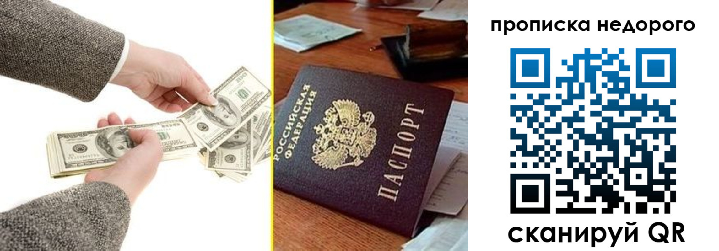 прописка для работы в Мариинском Посаде